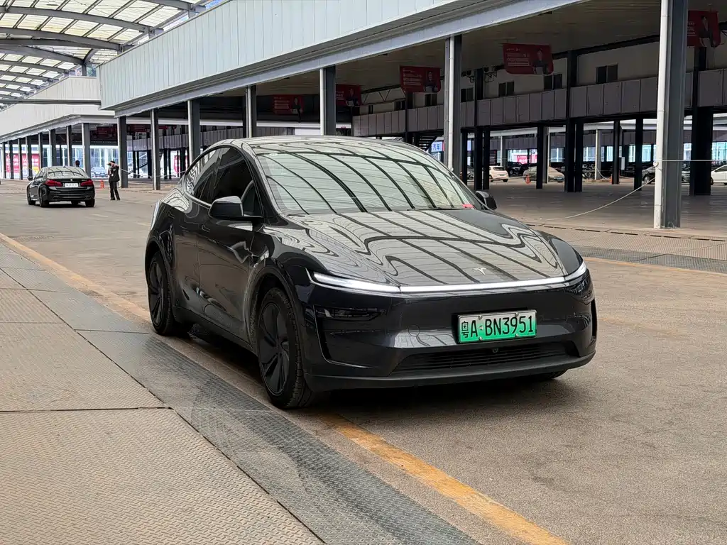 Tesla Model Y — миниатюра 3