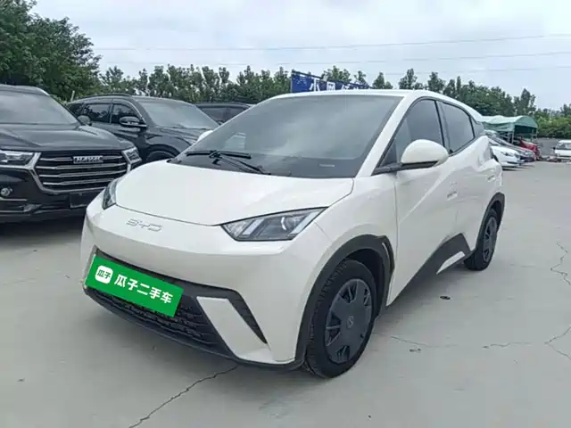 2024 BYD Seagull