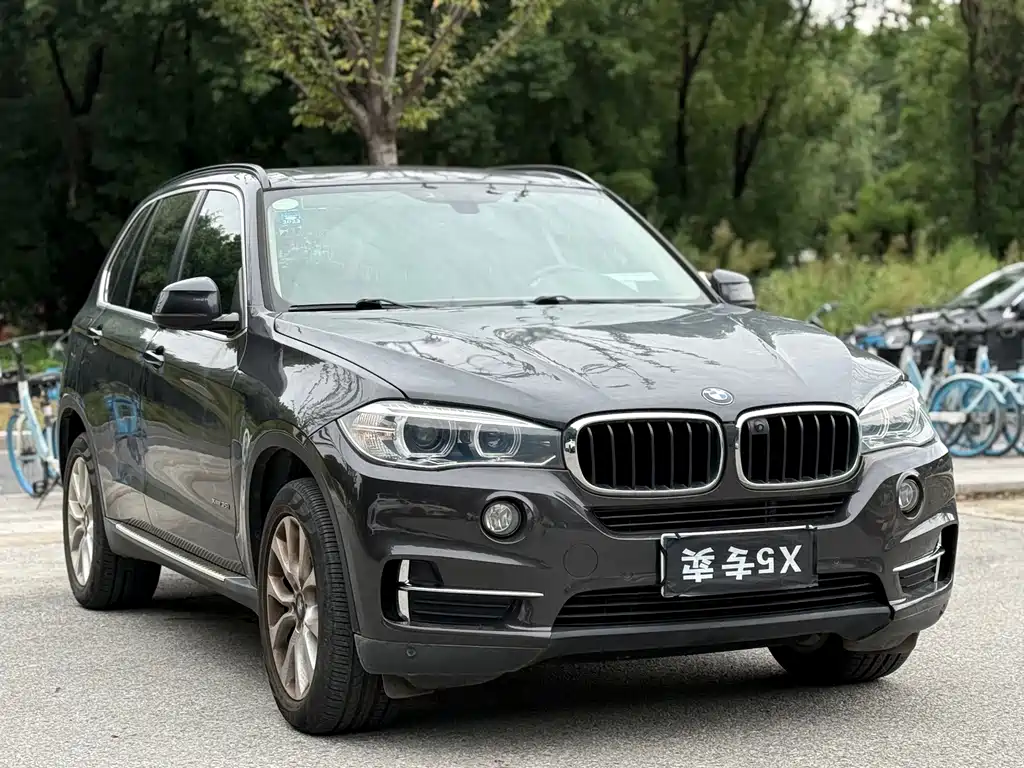 BMW X5 (Import) — миниатюра 3