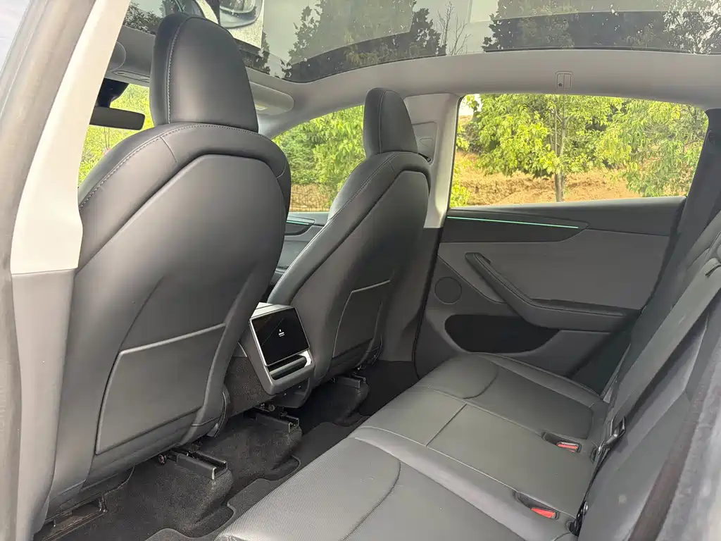 Tesla Model Y — миниатюра 12