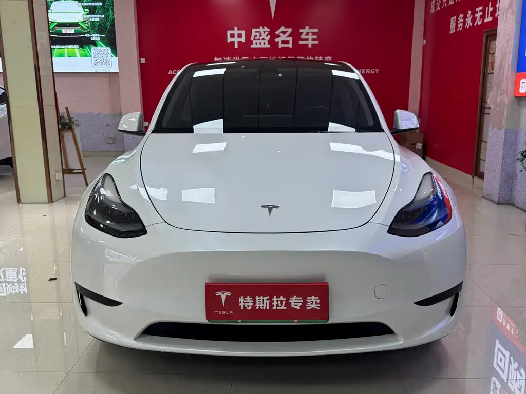 Tesla Model Y — миниатюра 2