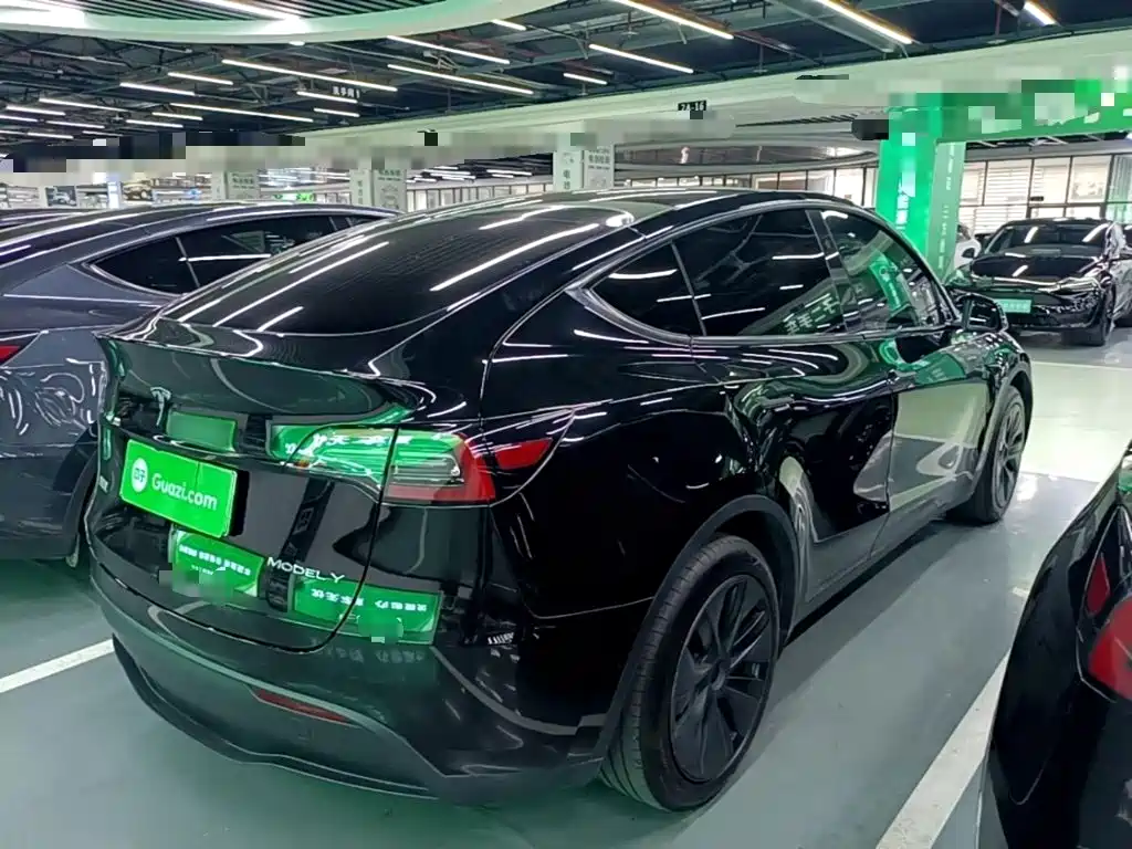 Tesla Model Y — миниатюра 7