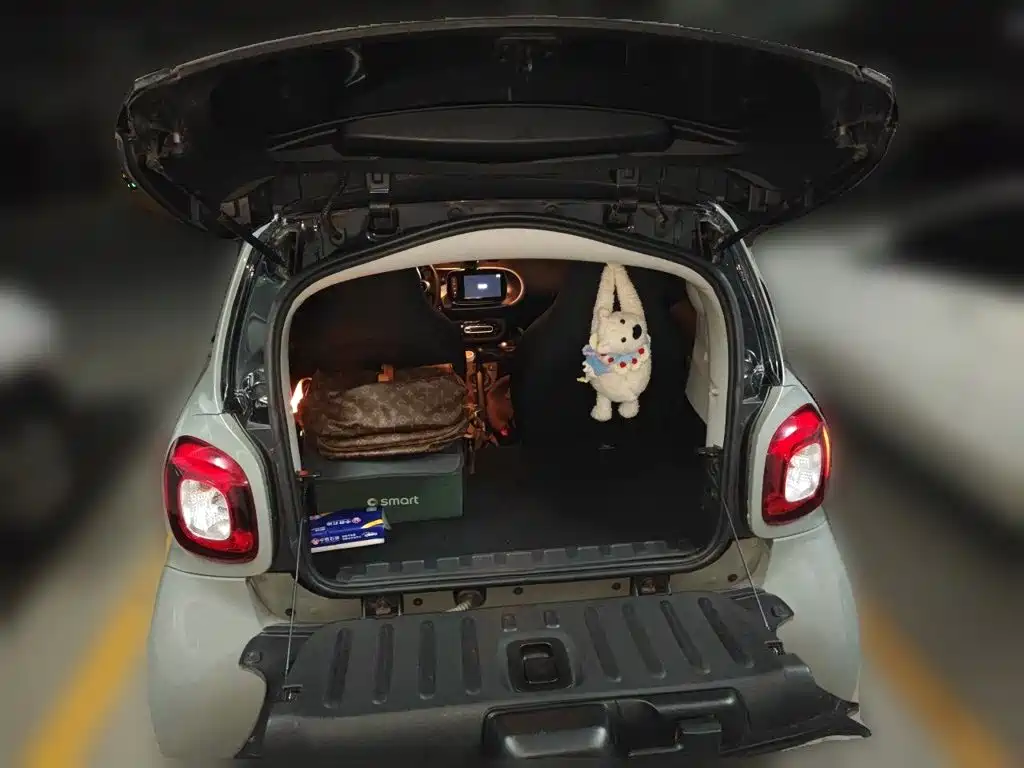 smart Smart Fortwo — миниатюра 20