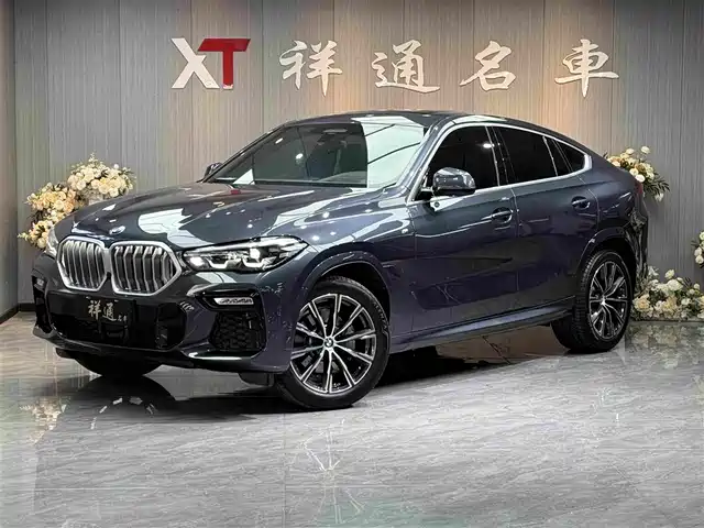 BMW X 6 2021 x Drive 30i M — фото 1