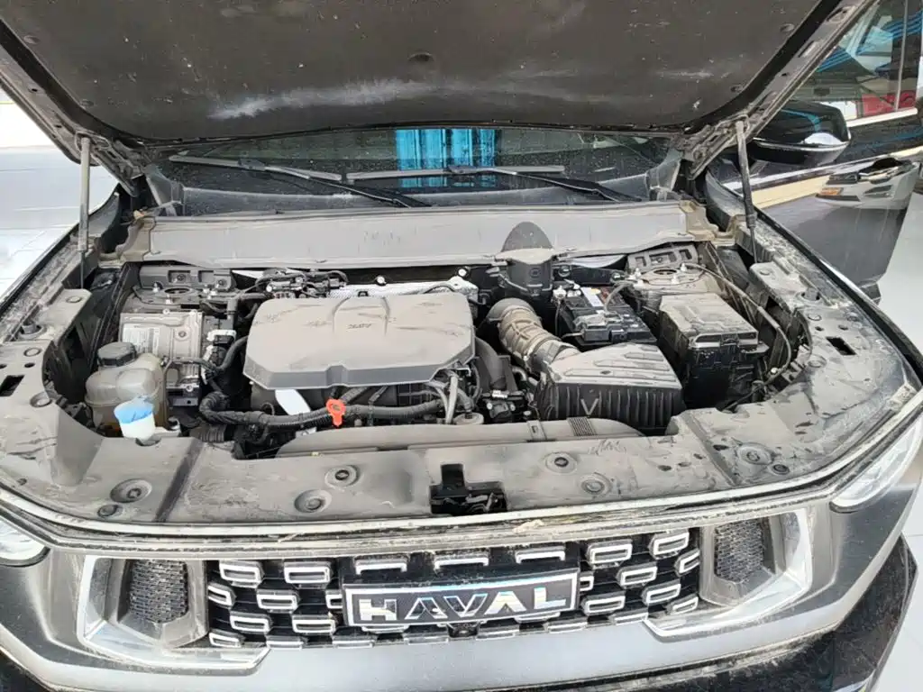 Haval Big Dog PLUS — миниатюра 20