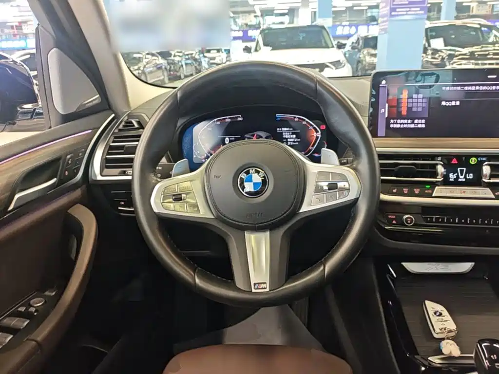 BMW X3 — миниатюра 11