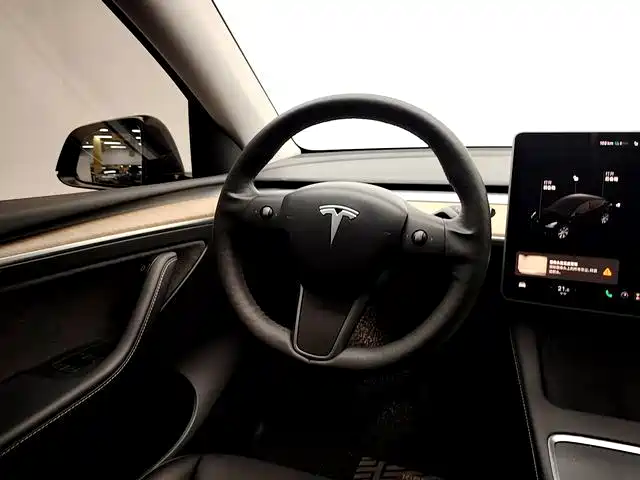 Tesla Model Y — миниатюра 11