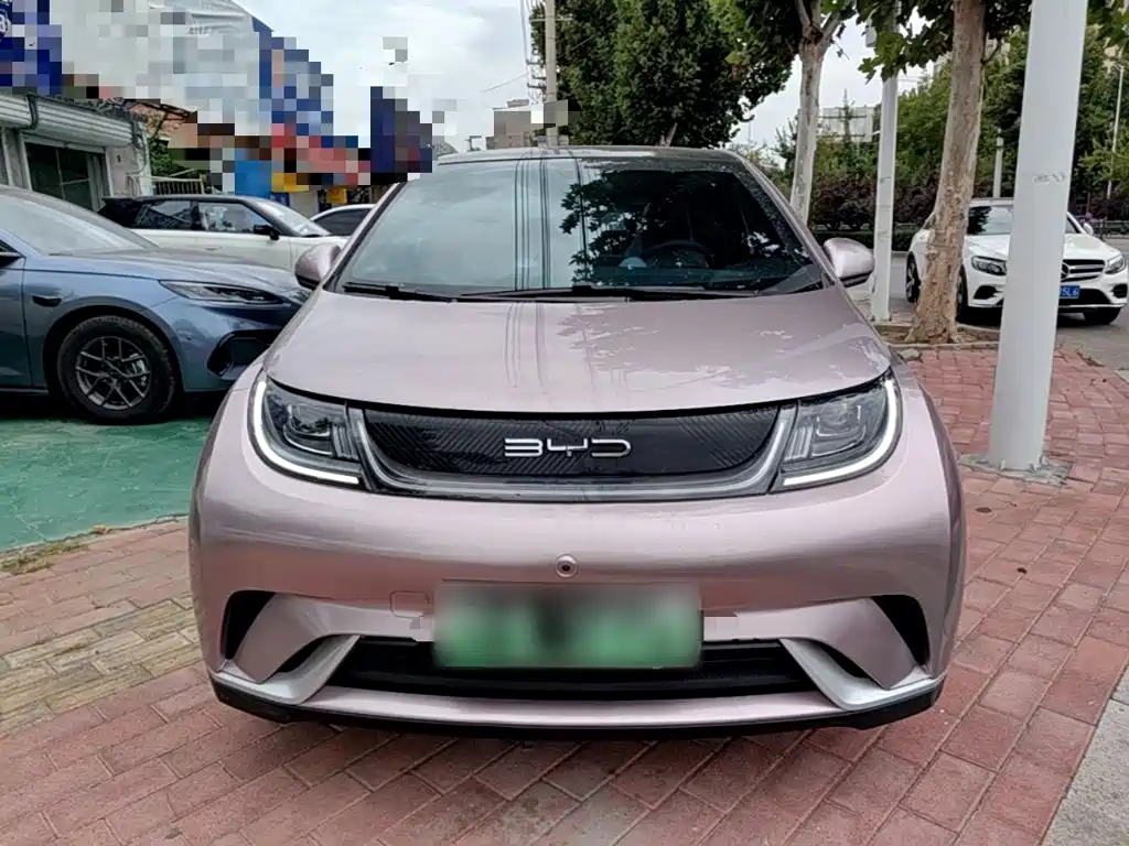 BYD Dolphin — миниатюра 3