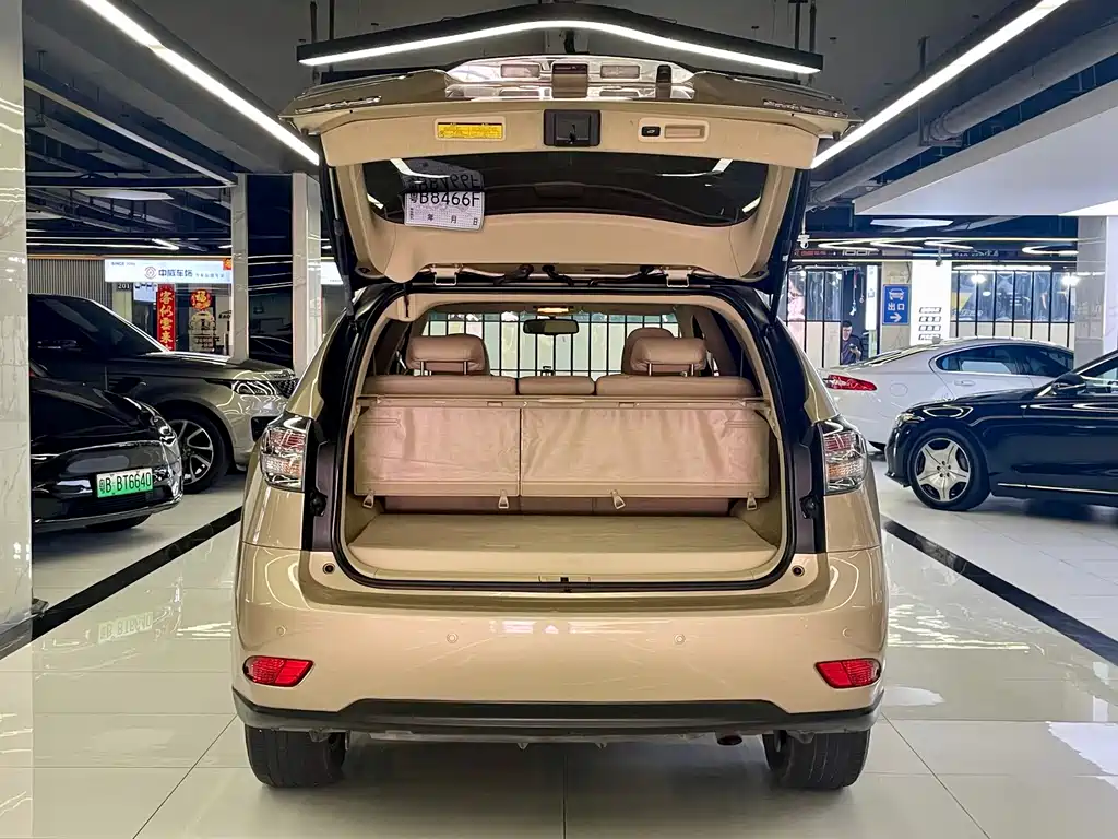 Lexus RX Classic — миниатюра 12