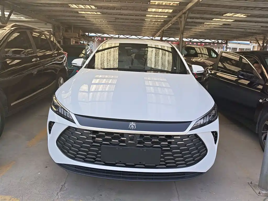 BYD Qin Plus PLUS 2025 DM-i Smart Drive 128KM