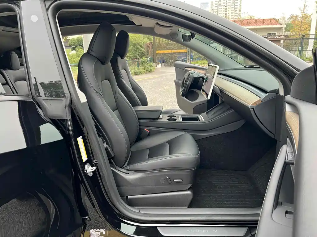 Tesla Model Y — миниатюра 8