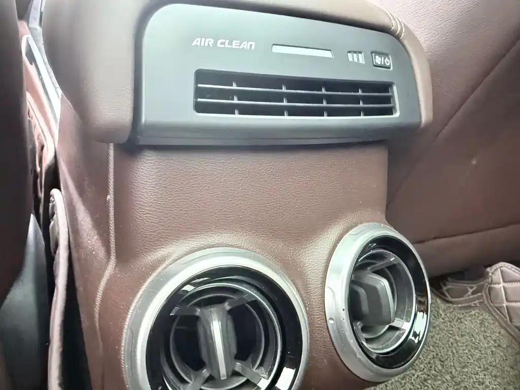 Wey Wey P8 — миниатюра 8