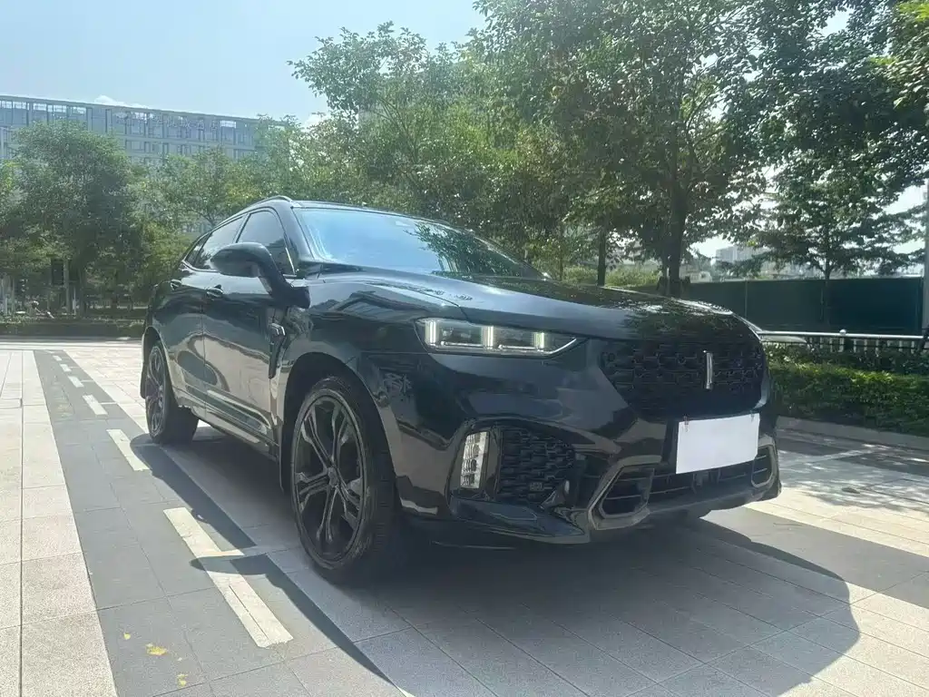 Wey Wey VV7 — миниатюра 3