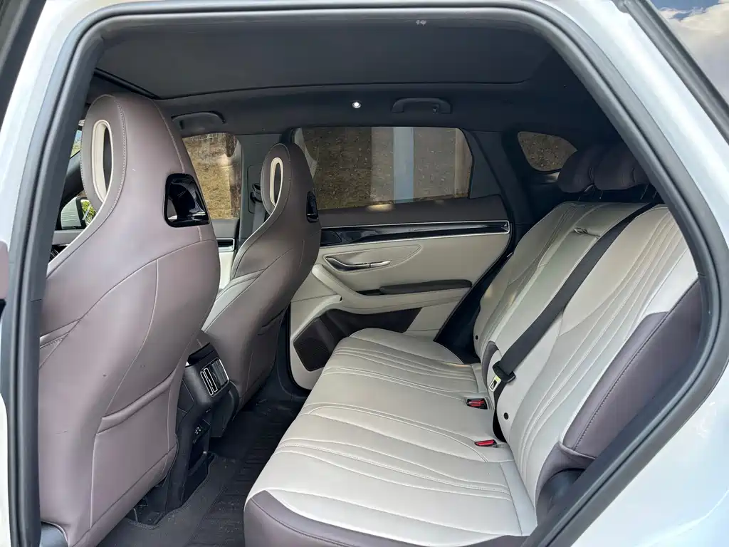 BYD PLUS New Energy — миниатюра 18