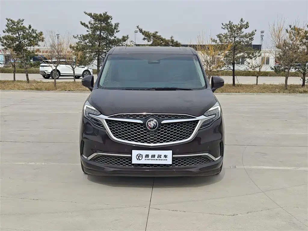 Buick GL8 2020 Avenir мест