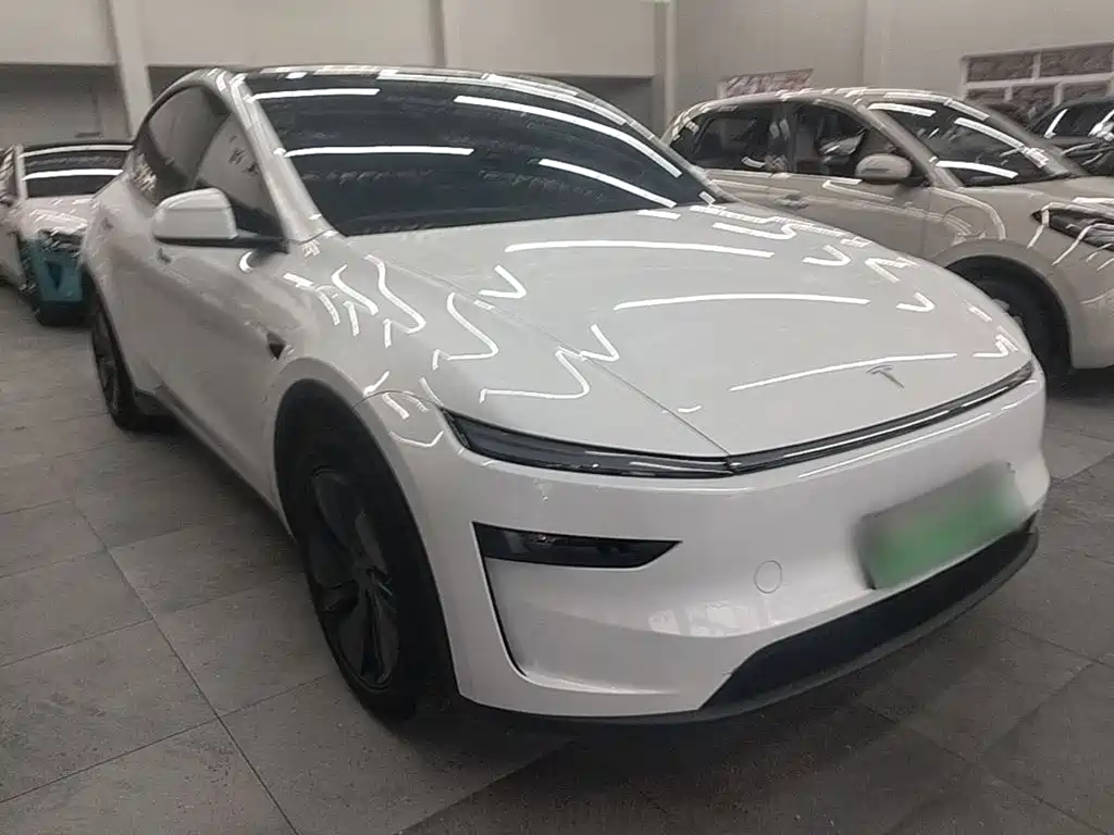 Tesla Model Y — миниатюра 4