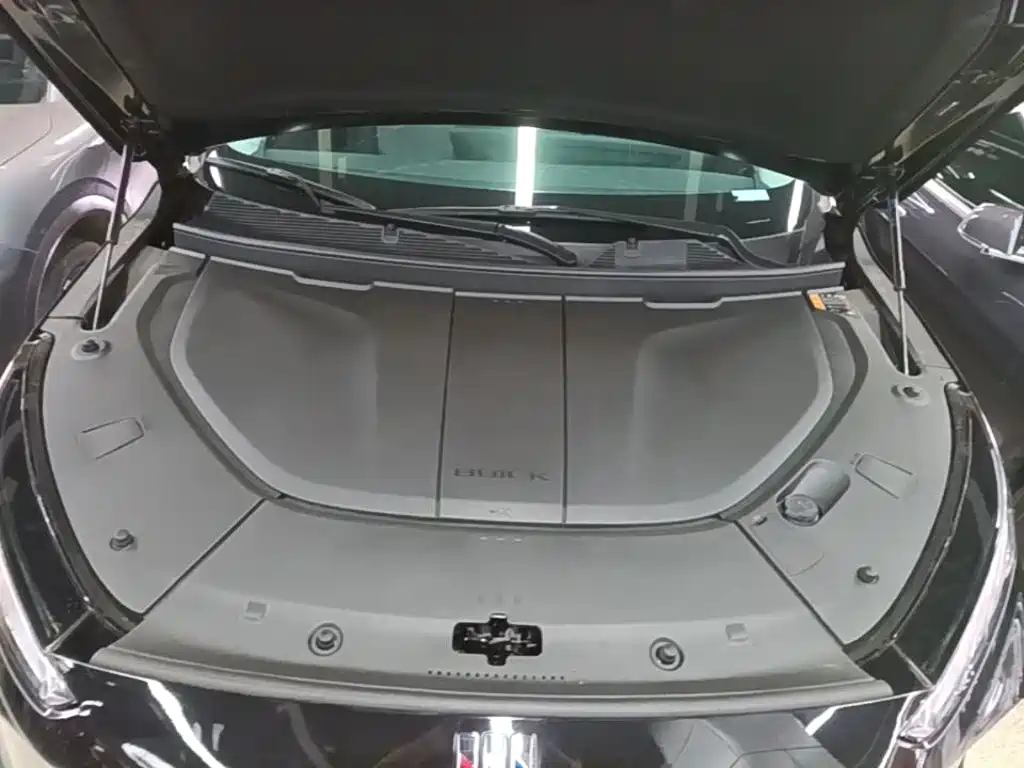 Buick E5 — миниатюра 20