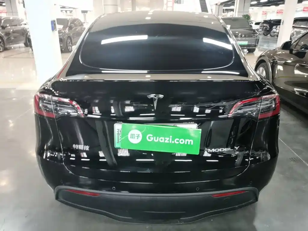 Tesla Model Y — миниатюра 6