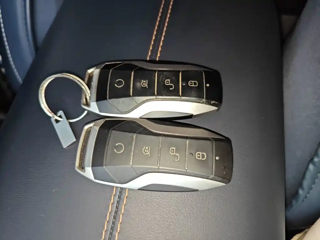 BYD PLUS New Energy — миниатюра 9
