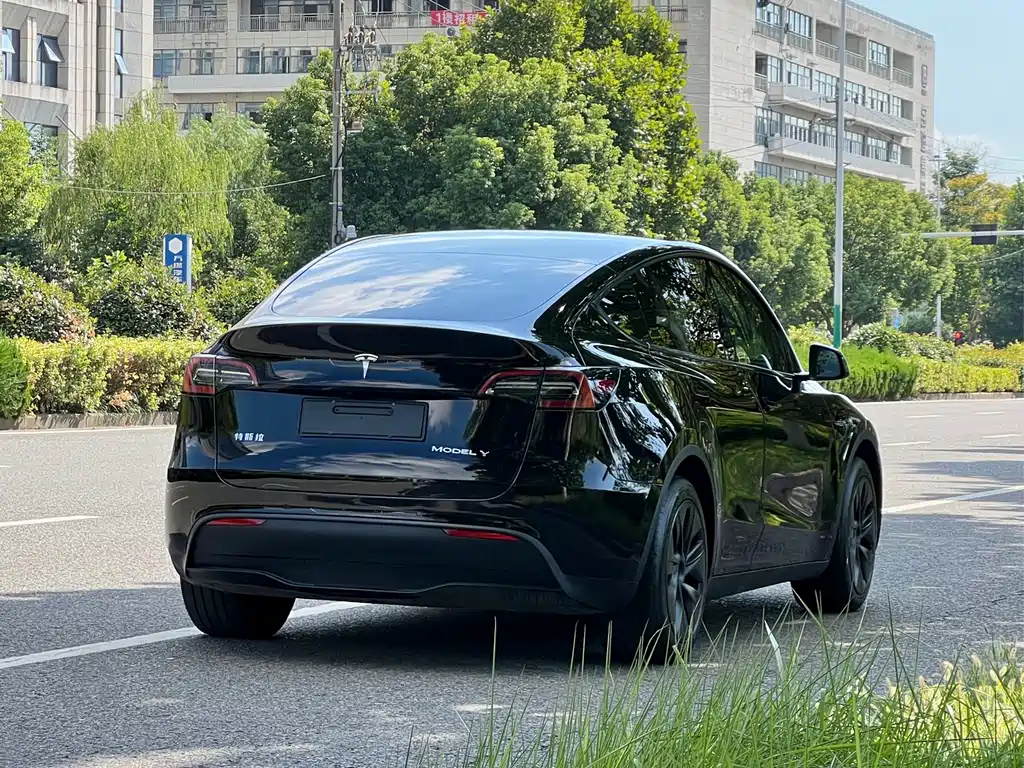 Tesla Model Y — фотографии объявления, Фото 4