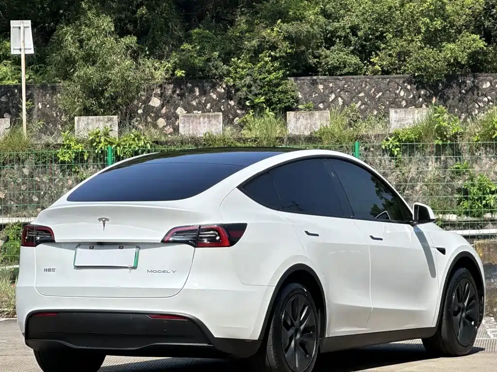 Tesla Model Y — миниатюра 14