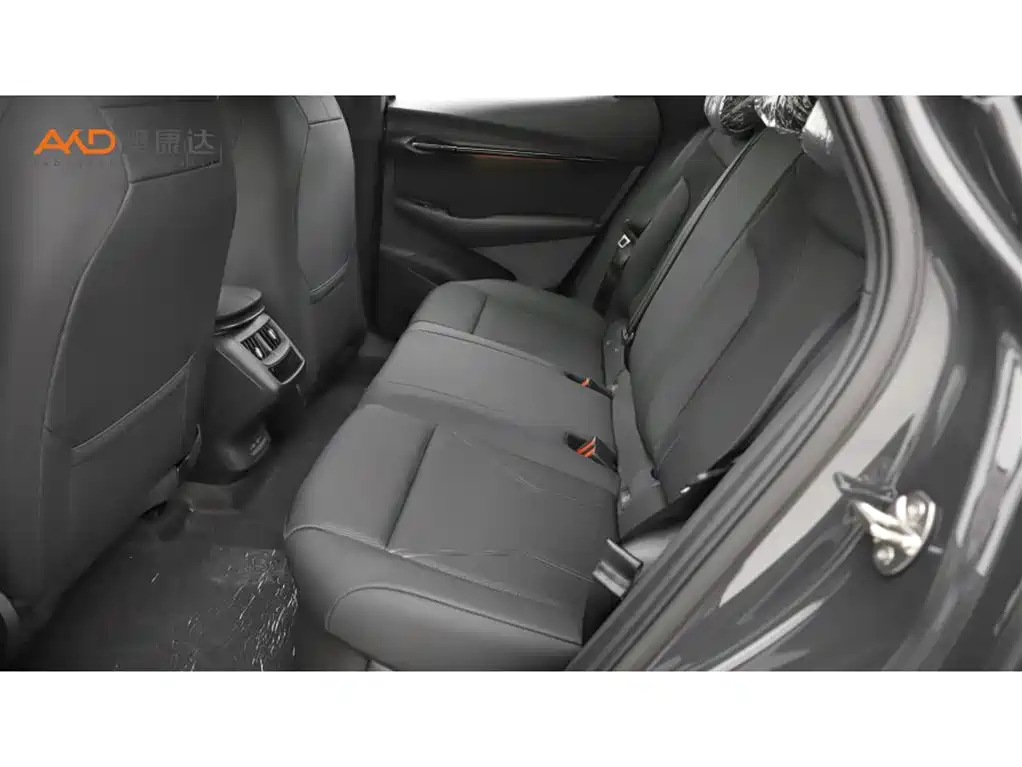 VOLKSWAGEN WITH THE CROWD 06