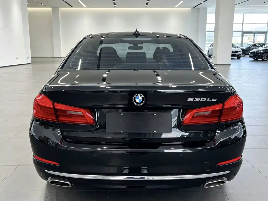 BMW 5 Series New Energy — миниатюра 8