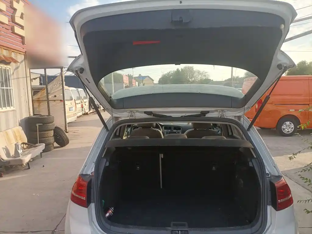 Volkswagen Golf — миниатюра 19