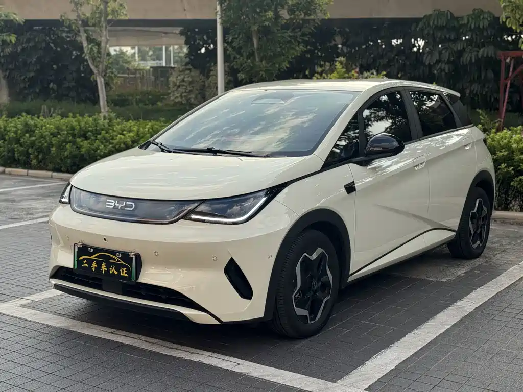 BYD Dolphin — миниатюра 2