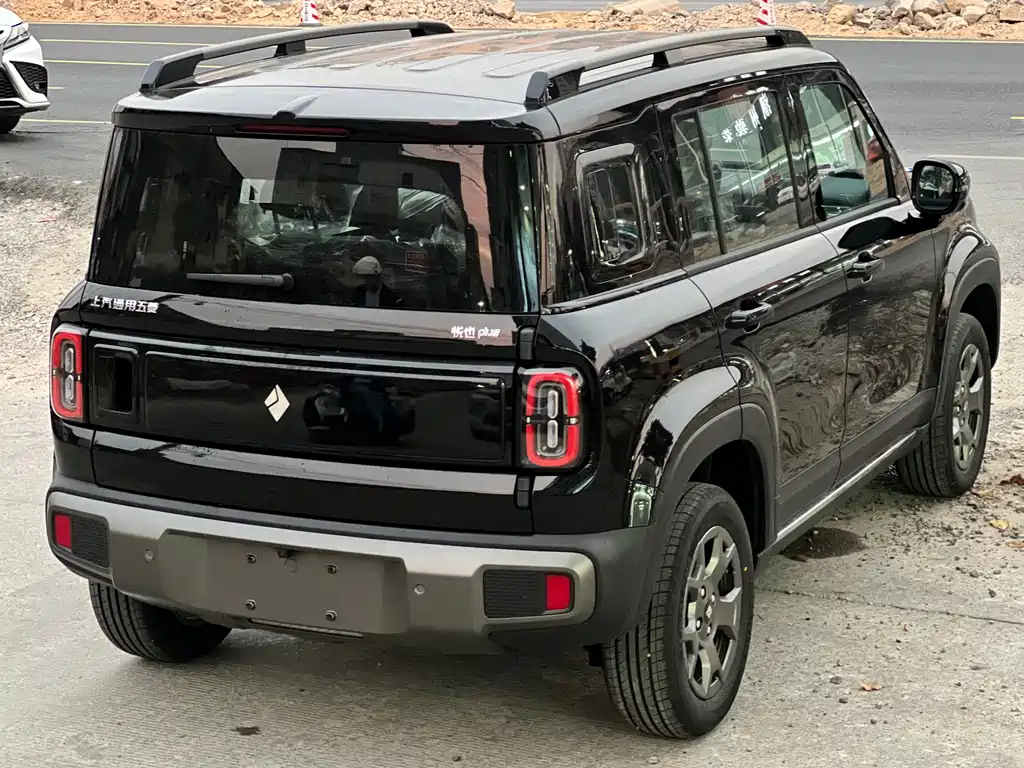 BAOJUN YUE ALSO PLUS