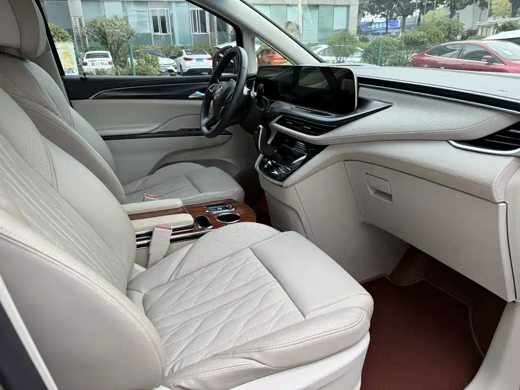 Buick GL8 — миниатюра 14
