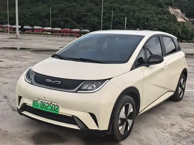 2024 BYD Dolphin
