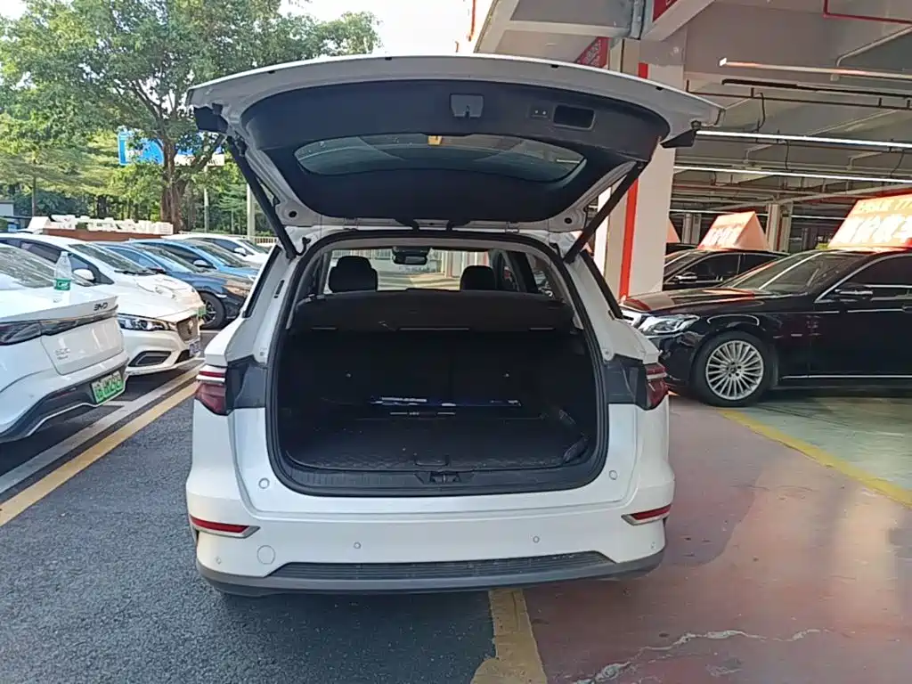 BYD Pro New Energy — миниатюра 19