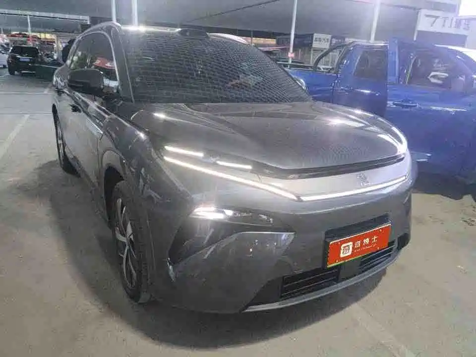 BYD Дон Л. — миниатюра 3