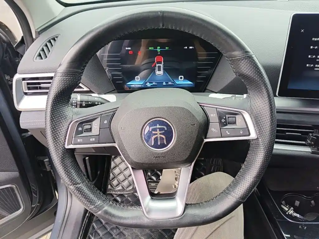 BYD Pro New Energy — миниатюра 11