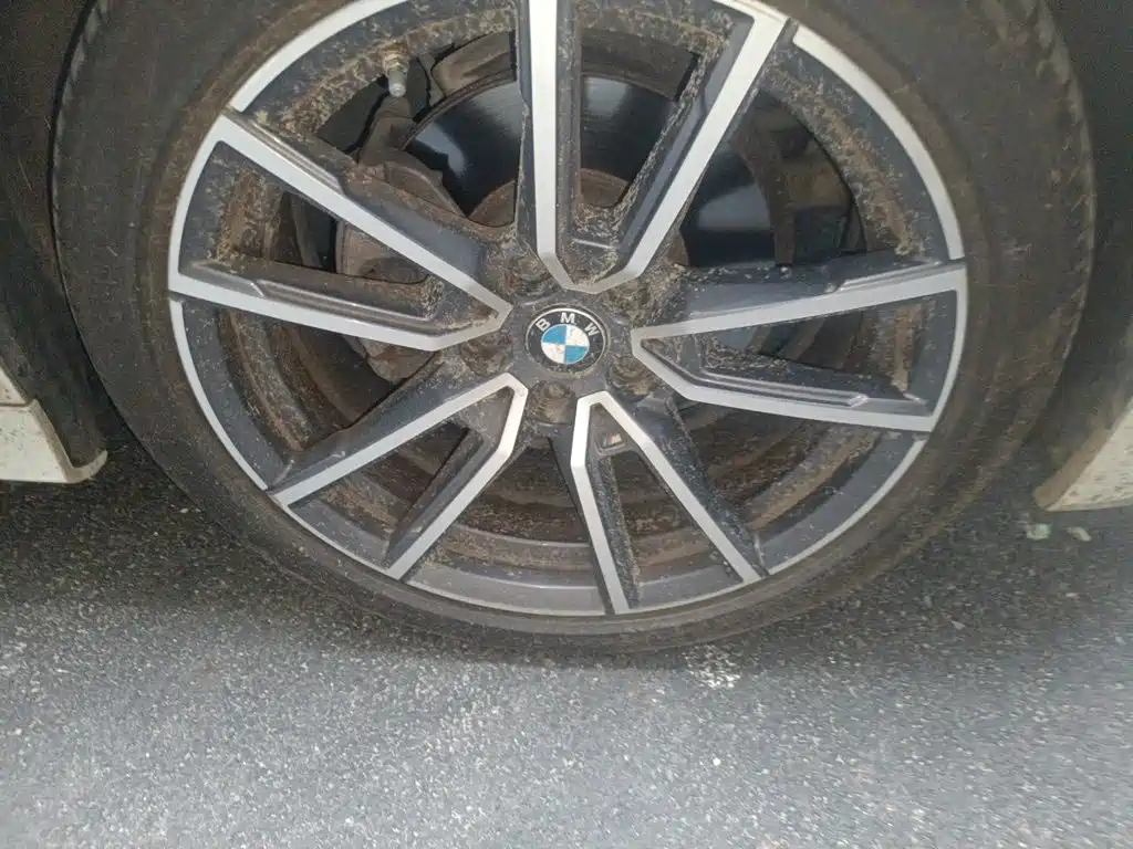 BMW 3 Series — миниатюра 8