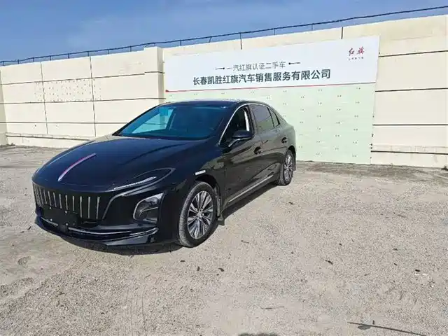 Hongqi HONGQI E QM5 2024