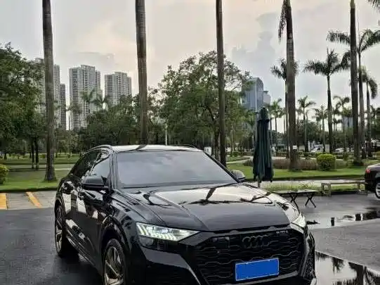 Audi RS Q8 — миниатюра 8