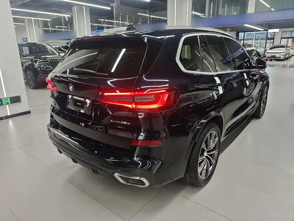BMW X5 New Energy (Import) — миниатюра 7