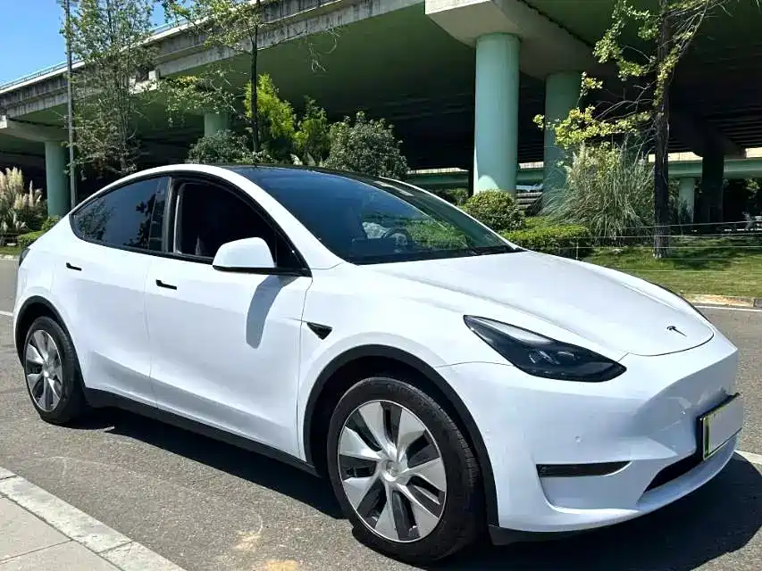 Tesla Model Y — миниатюра 2