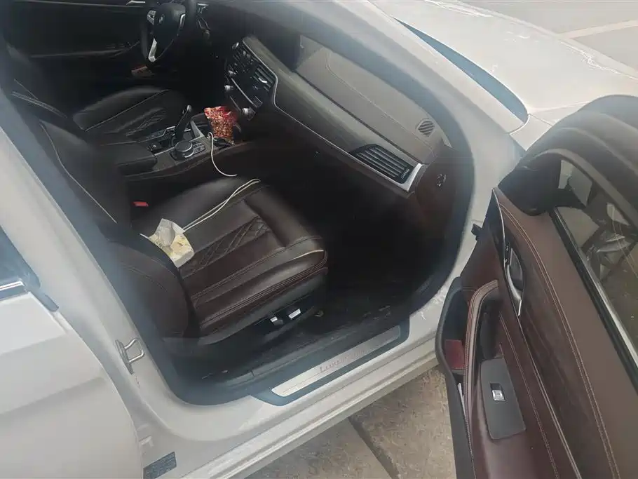 BMW 5 SERIES NEW ENERGY