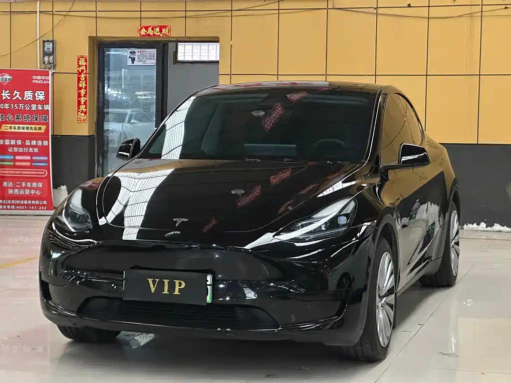 Tesla Model Y — миниатюра 7