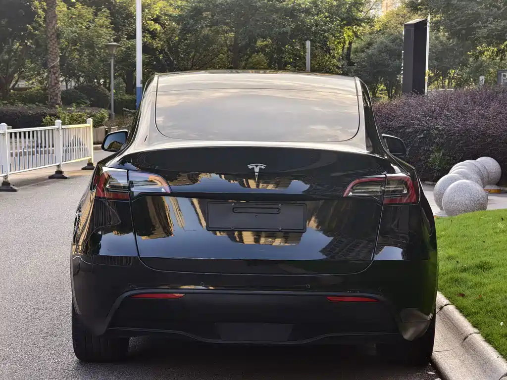 Tesla Model Y — миниатюра 6