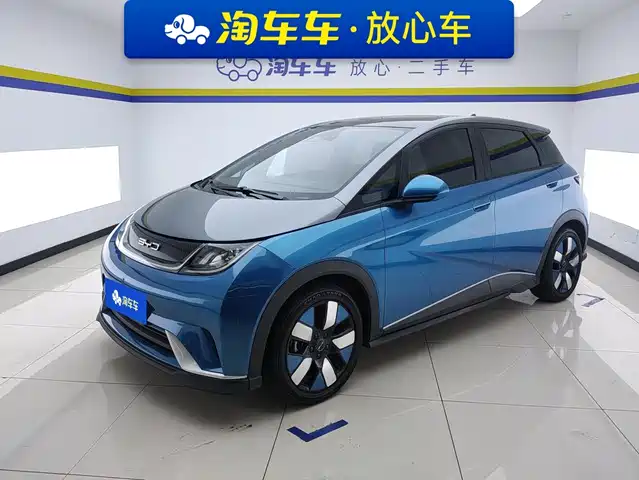 2022 BYD Dolphin