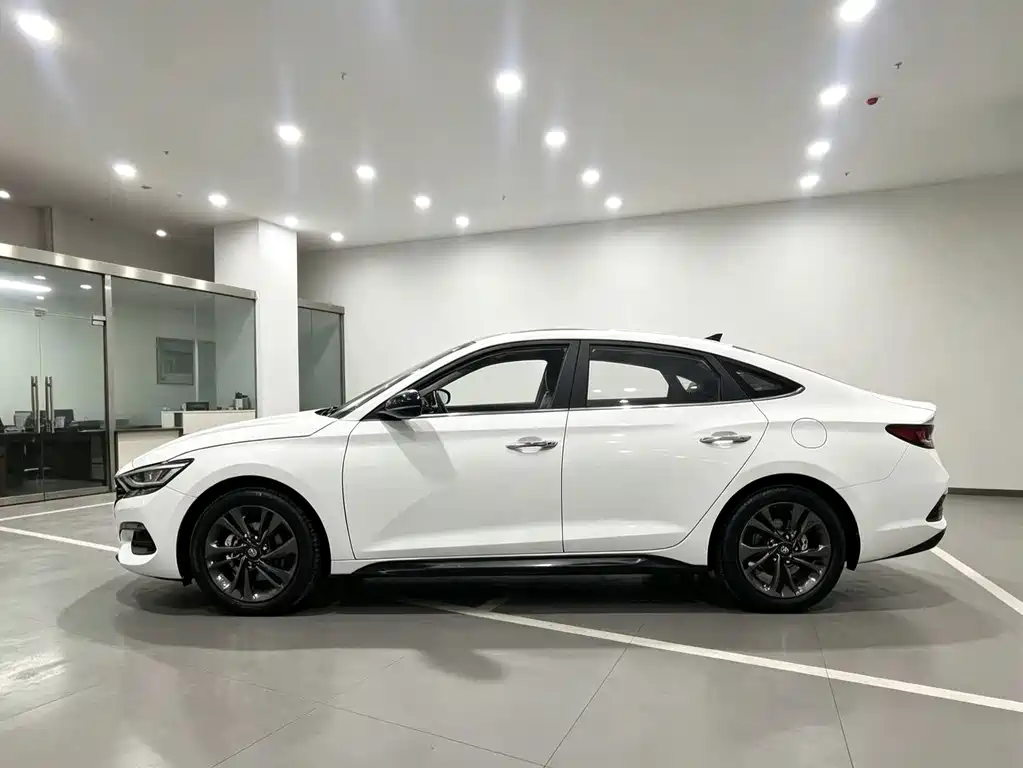 Hyundai Fista — миниатюра 3