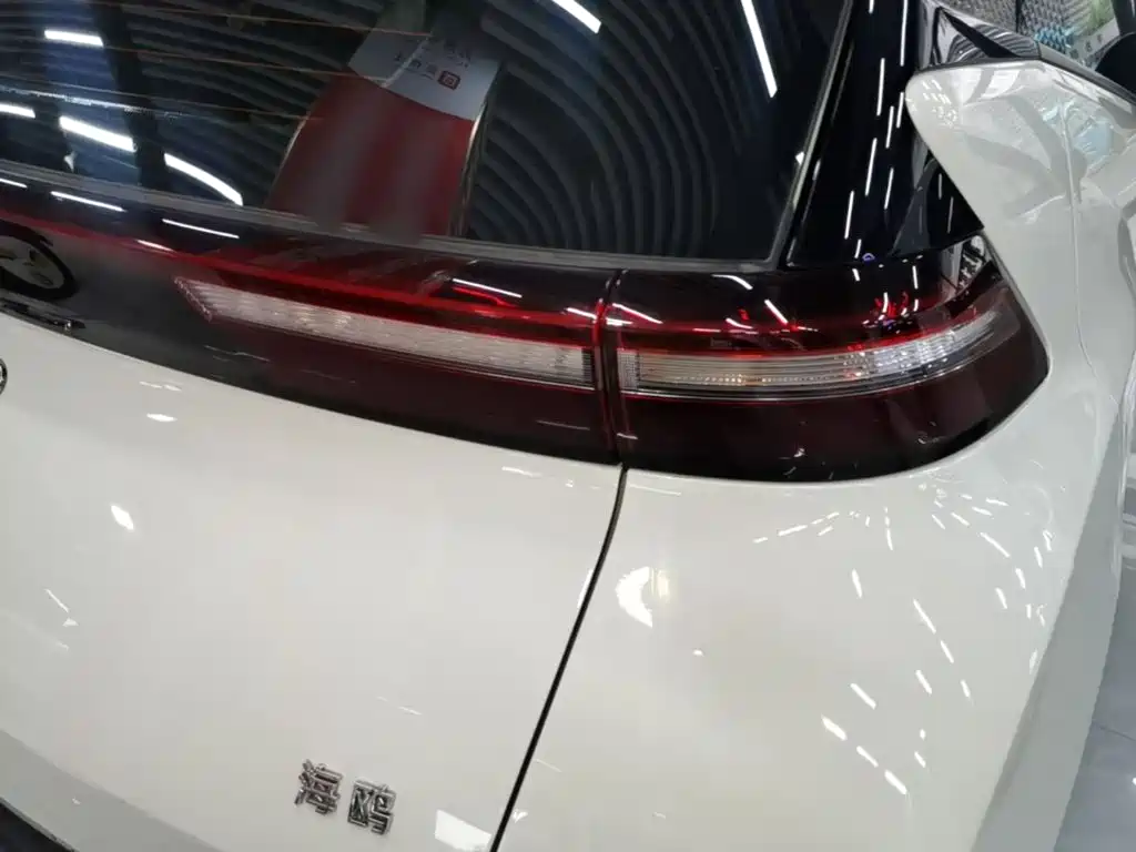 BYD Seagull 2025 305km