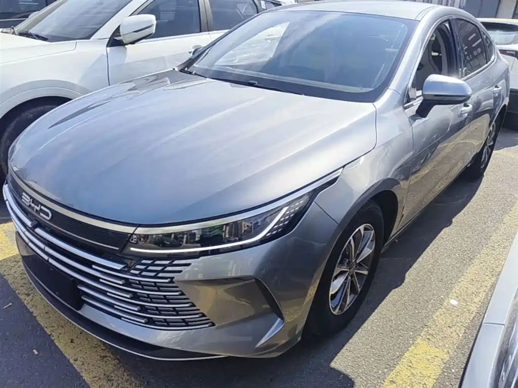 BYD Destroyer 05 2024 DM-i 55KM Luxury
