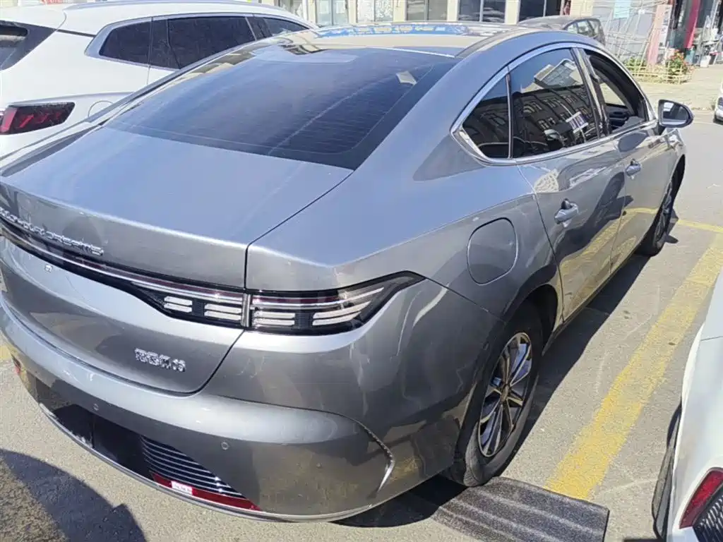 BYD Destroyer 05 2024 DM-i 55KM Luxury