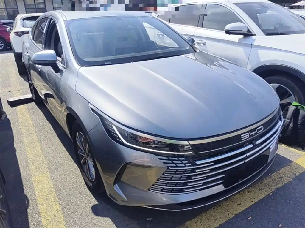 BYD Destroyer 05 2024 DM-i 55KM Luxury