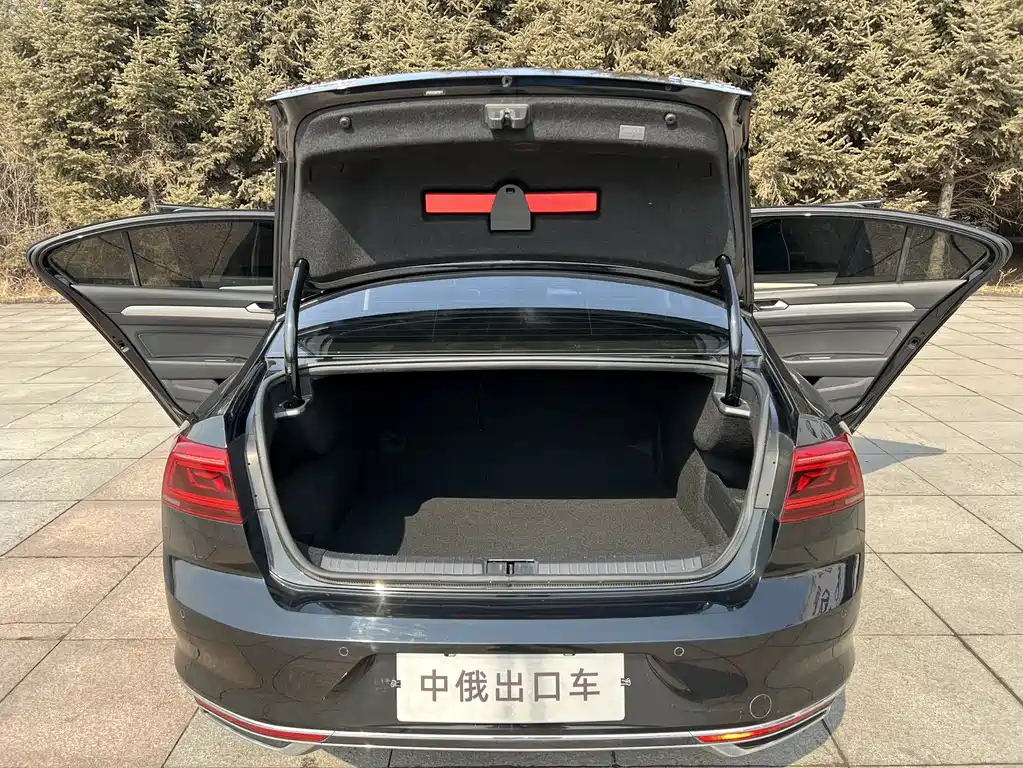 Volkswagen Magotan 2020 280TSI DSG Comfort